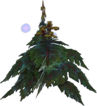 Abyss Weed
