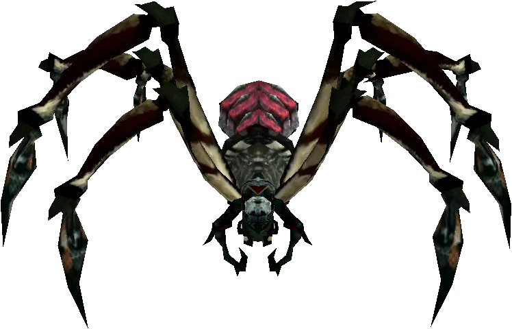 Arachnid Predator