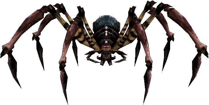 Cave Fang Spider