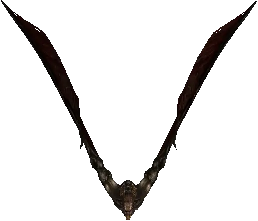 Ruin Bat