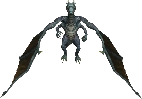 Marsh Drake