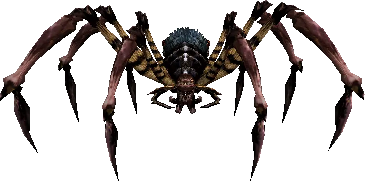 King of the Araneid
