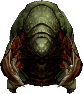 Marsh Predator