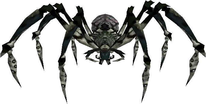 Frost Tarantula