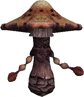 Mountain Fungus