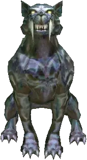 Grotto Leopard