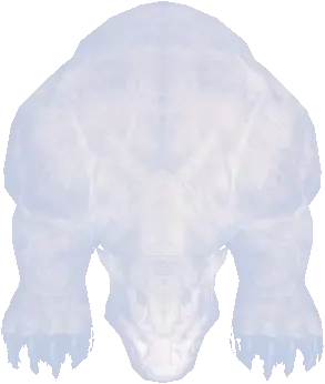 Grotto Grizzly
