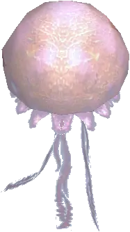 Island Guardian