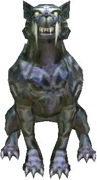 Sonneratia