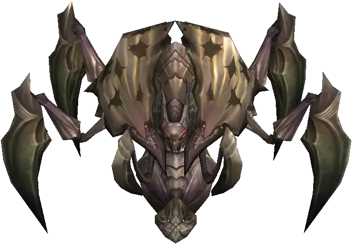 Assassin Beetle
